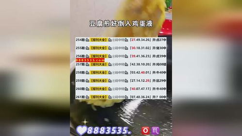 2024新澳开奖结果|准确资料解释落实_经典版SSIP.2.446