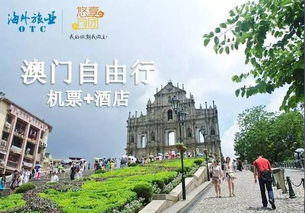 芳草地澳门正版免费资料的优势|探寻历史背后的秘密与故事_R.6.284