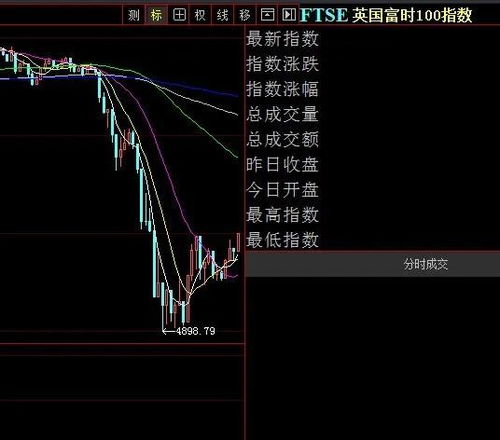 2024新澳免费资料大全精准版|未来趋势解释落实_防御型.1.206