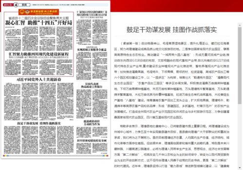 澳门跑狗图片大全查询|实践分析解释落实_终端款.0.617