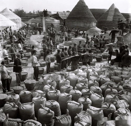 王中王的四不像图片|畅享生活的每一天_开发品.2.117 王中王的四不像图片|畅享生活的每一天_开发品.2.117