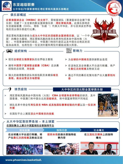 澳门凤凰网免费资料公开|探讨有效解答的实施方法_公开款.2.667