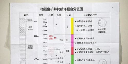 黄大仙精准四肖15码|专家解答解释落实_适应款.9.965 黄大仙精准四肖15码|专家解答解释落实_适应款.9.965